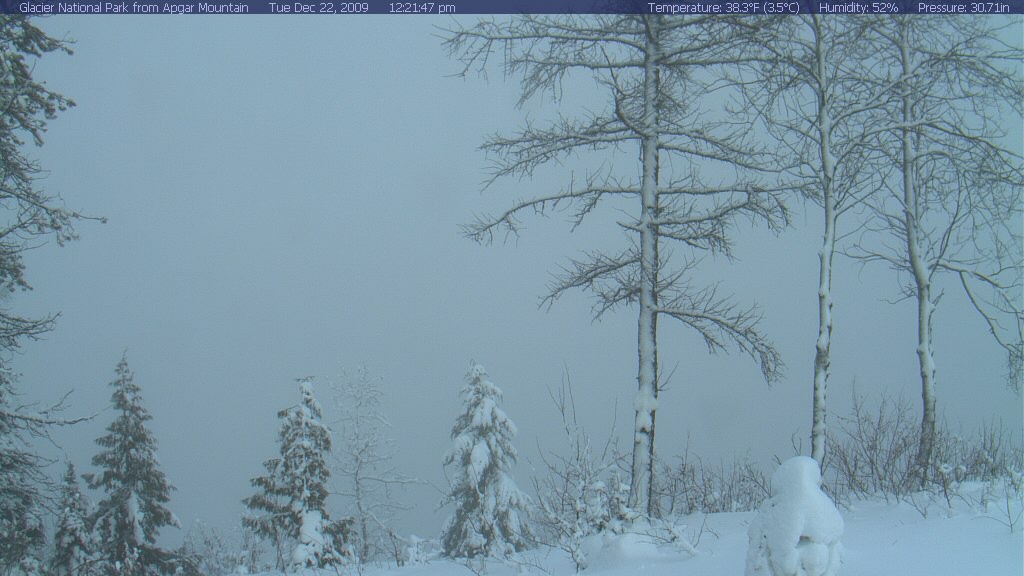 Glacier National Park from Apgar Mountain